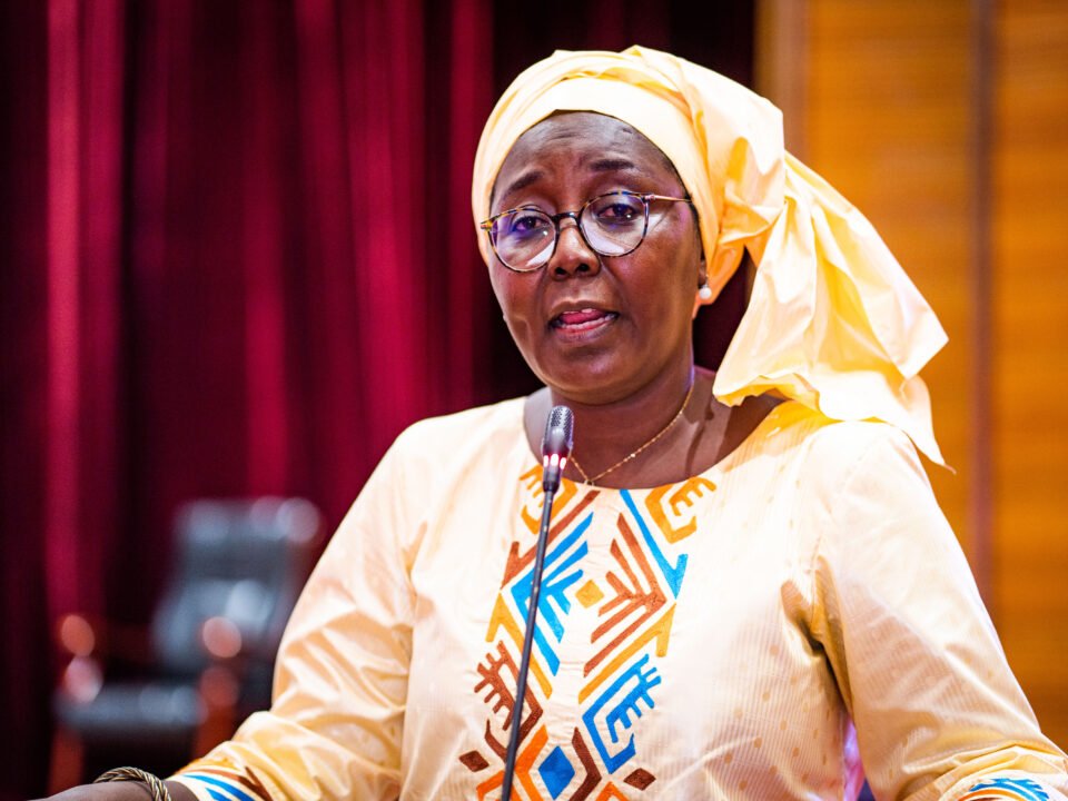Mali : faire entendre chaque voix, construire la démocratie — 71